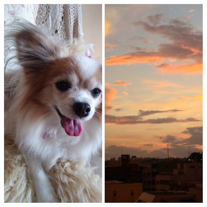 A8f5472e 9649 4271 902e 274dd7baaeb7 1597762922664