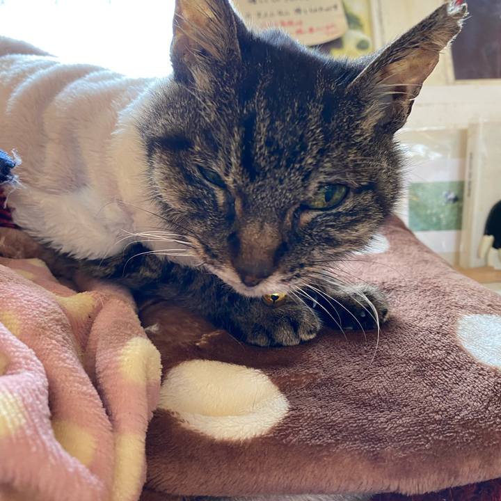 A8f55bd9 f7f0 4f8f ba87 f9c795b585ce 1706566014105