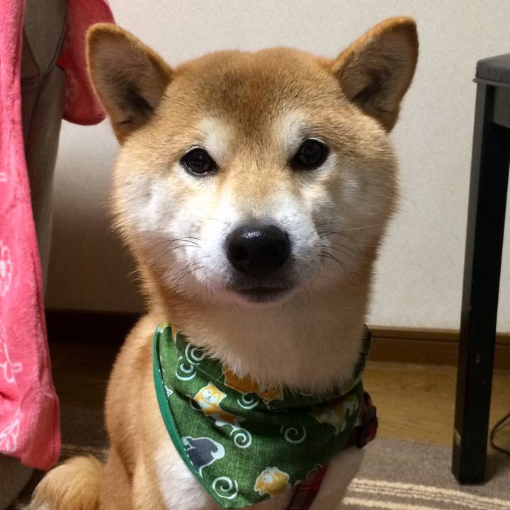 A8f580f3 a1e8 40bd 92e7 74a8c1d75214 1515060721549