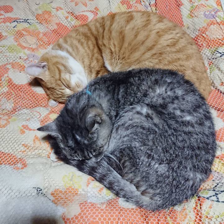 A8f5898b c549 4645 b9dc 3d22dee8656e 1577102989024