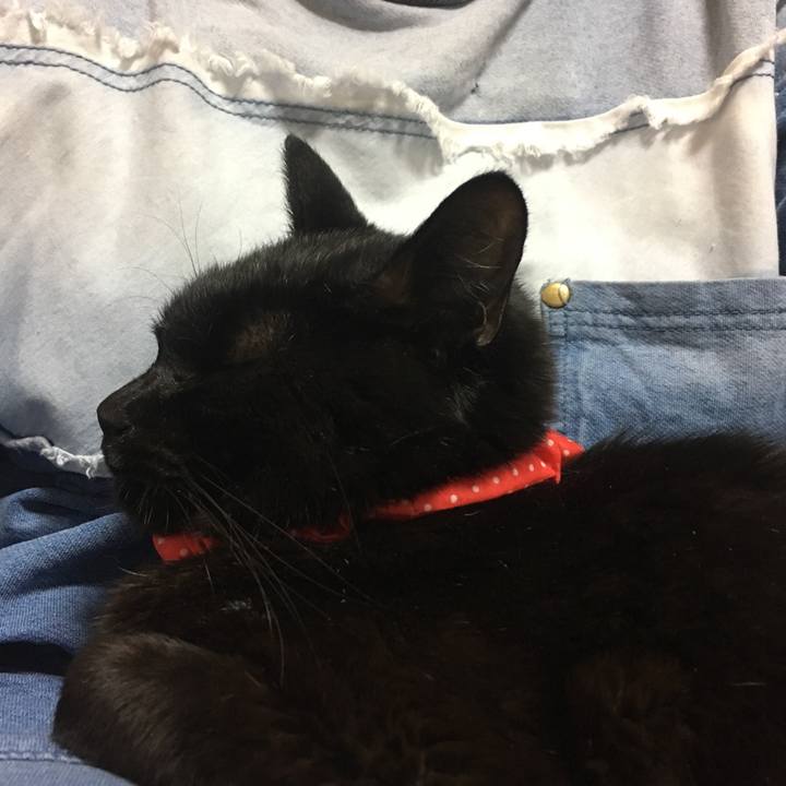 A8f58fa2 e3a3 42c9 ae81 14451f813b60 1553428873232