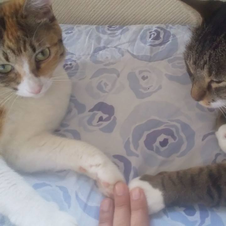 A8f591ca 6487 4323 b422 55c57c52930d 1756966798934