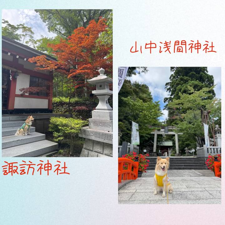 A8f59460 9e23 413b ab93 7f4f725bdceb 1787703683280