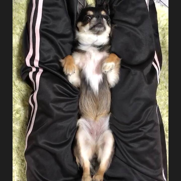 A8f59a5d 3eae 4c0e 89bd 9e4c8f745caa 1557833063648