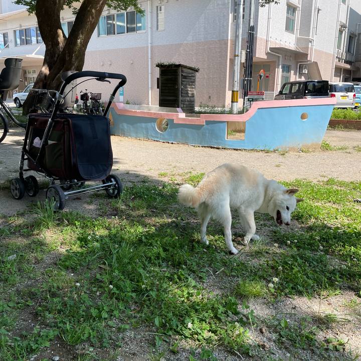 A8f5ad68 987b 4f1b 9588 317284663dc8 1651574812816