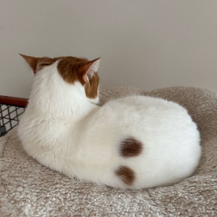 A8f5e066 4e5d 4a9e a467 5bf926f90fa0 1768999078592