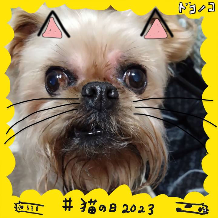 A8f5e5d0 d610 4452 837d cc9861c989b1 1677022319417