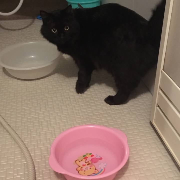 A8f5f471 2e6b 4ffa 8482 5b8a32a1bfbb 1518959736911