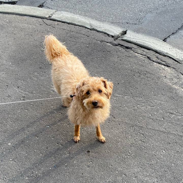 A8f5fc4e 1318 4668 9be9 d381a16d39e7 1630015430067