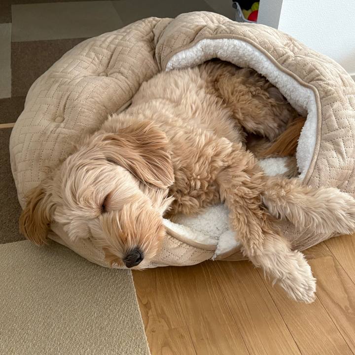 A8f5fe65 08f6 436e 8485 ed2762b40f55 1764651013438