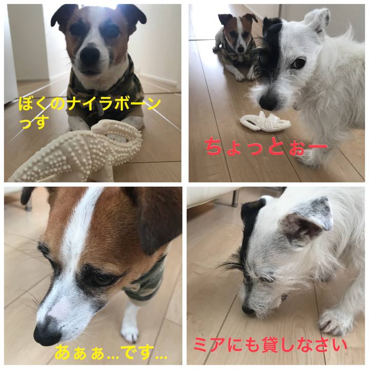 A8f60a12 bb4b 45b7 8964 5653deb519e2 1535070140338