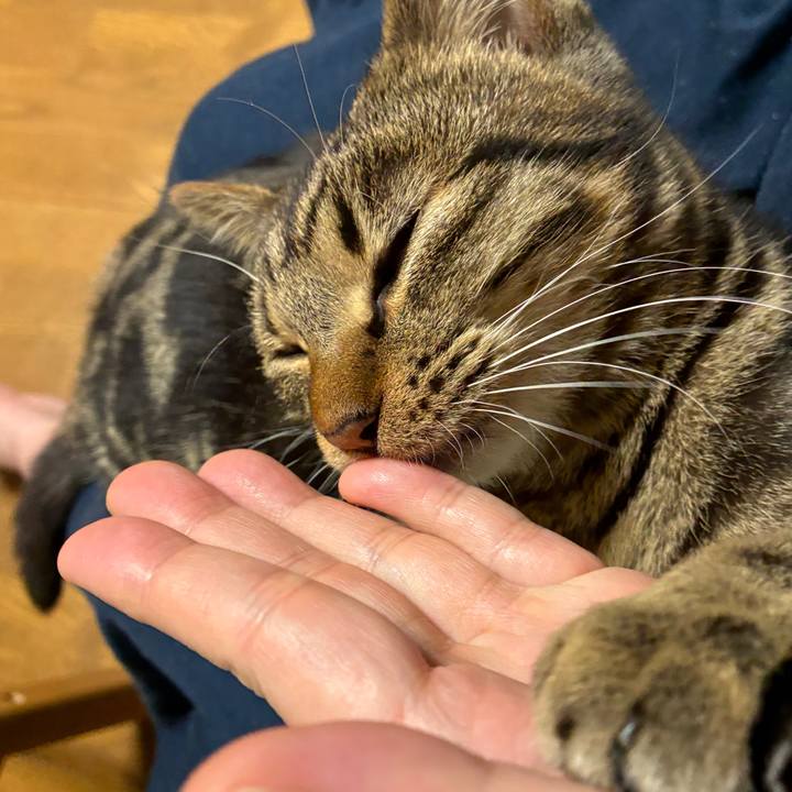 A8f6411d a678 4aa0 9a09 e680d4178ef2 1743247594671