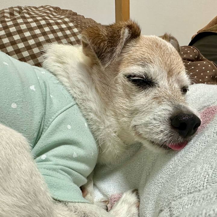 A8f64141 b0ef 4abc 806d c130be3cf289 1746181134502