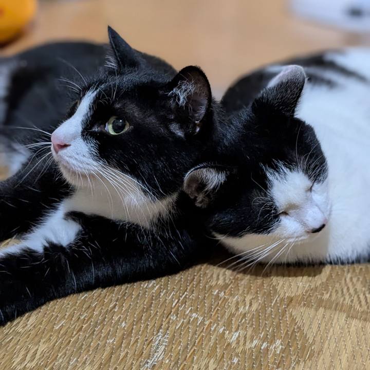 A8f64887 9d11 40de 99b8 8b6dc812536e 1758207465219