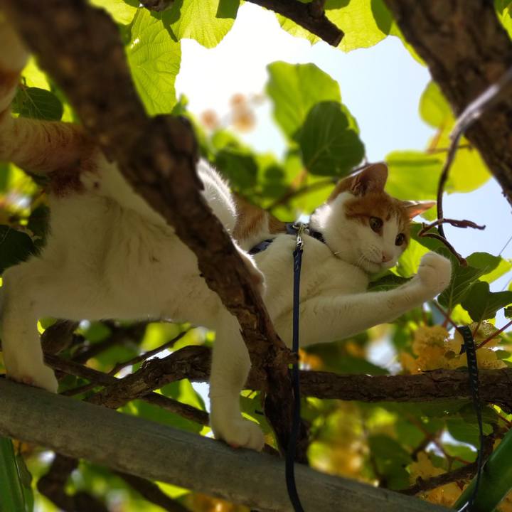 A8f6696a f40c 4829 b89d 1dd7feb43292 1527910337050