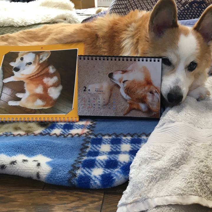 A8f670bc b6c0 49e8 864e d14dce48da3b 1580565110986