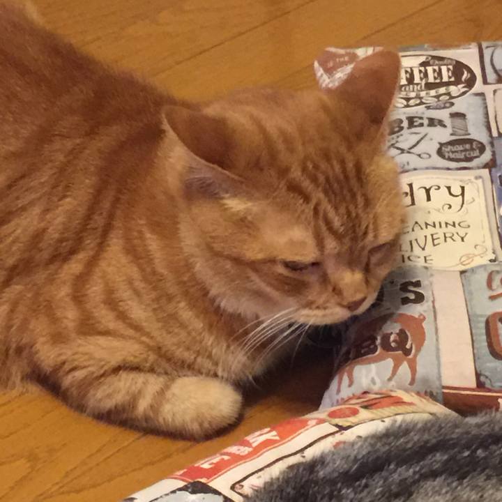 A8f6af24 0603 4ea8 a318 8c5b433d8580 1560951013049