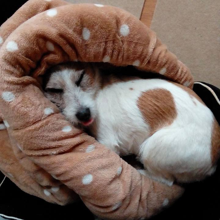 A8f6c9b7 15af 4a98 8b0d ae308a529b93 1551684981778