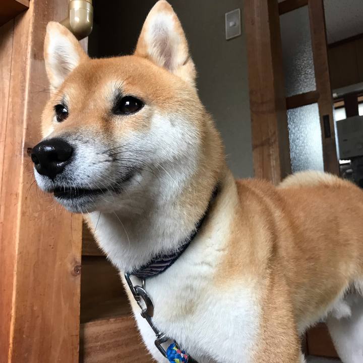 A8f6dd3f 453b 489d a73f a465525a1a75 1567412992429