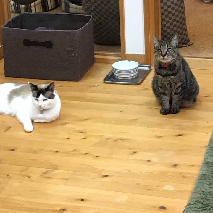 A8f6f105 635a 4014 972a 4cdf8a6f391a 1627036804912