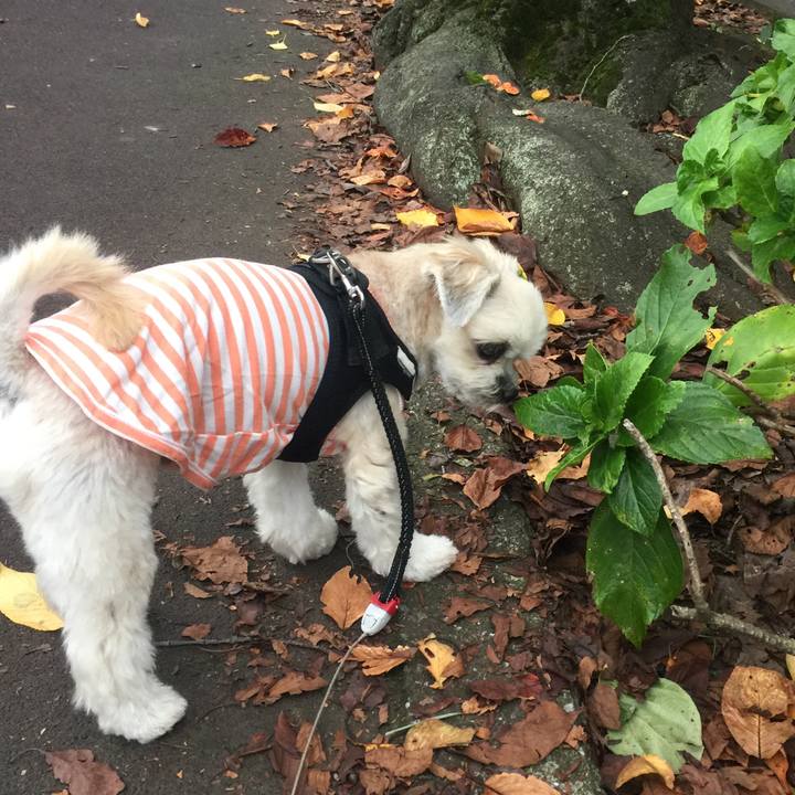 A8f724f2 d411 458a aa64 c91572921318 1538652025151