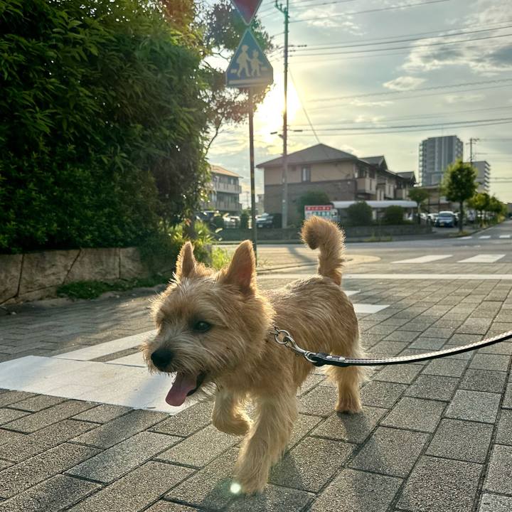 A8f74618 4502 4794 af3d 6cb83651c6c3 1721871995999