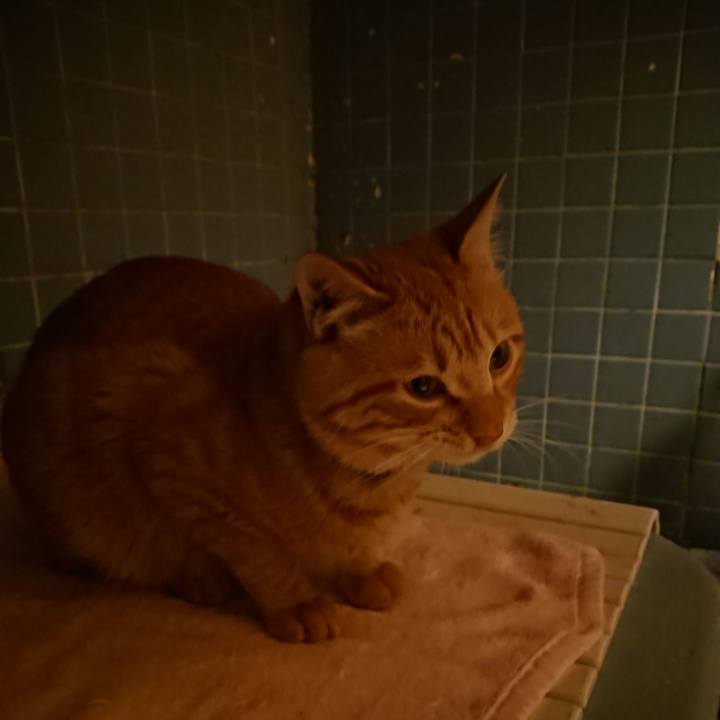 A8f7c869 3cf7 4e4e b18c b6e05c29c955 1643197452121