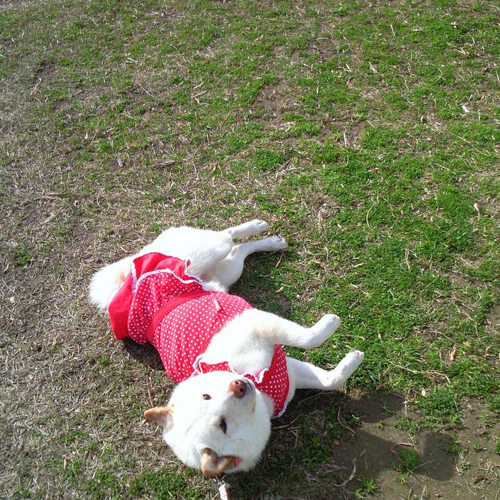 A8f7f178 d3e5 4169 a3f7 e87a53966dc7 1655758647653