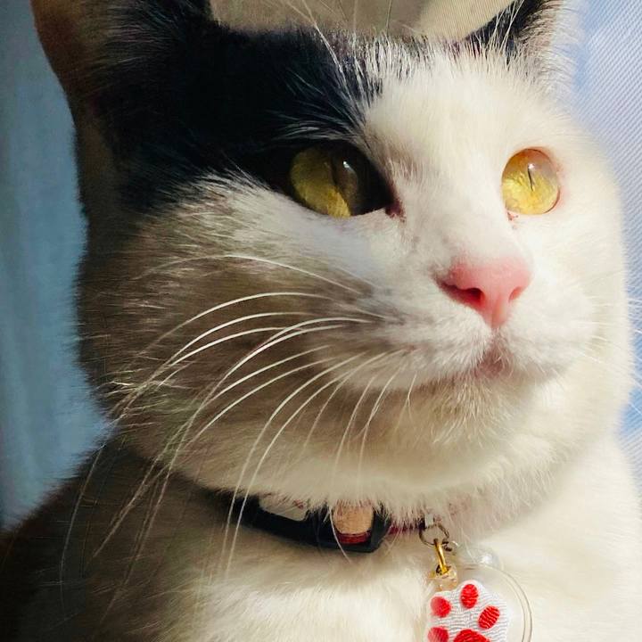 A8f801c9 4614 4862 b8cd a00612ef21af 1676667004023