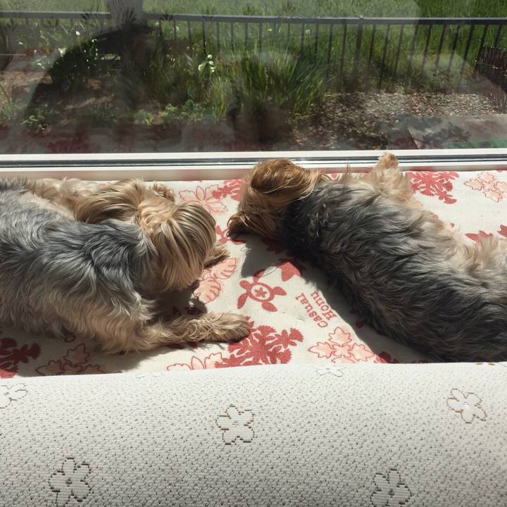 A8f832cc 100c 461a b08c 52d21c013c82 1527553118245