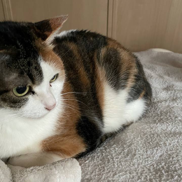 A8f88f5d 99ef 46c8 a4e9 f172f14b8417 1641450030454