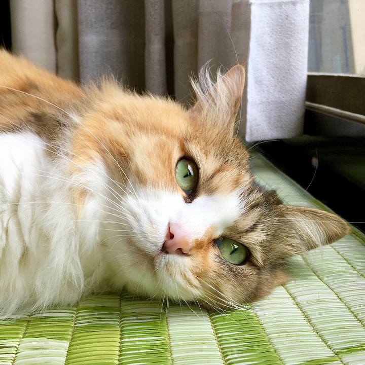 A8f8e029 37db 4be0 92ef b5fb8d34b554 1589169015667