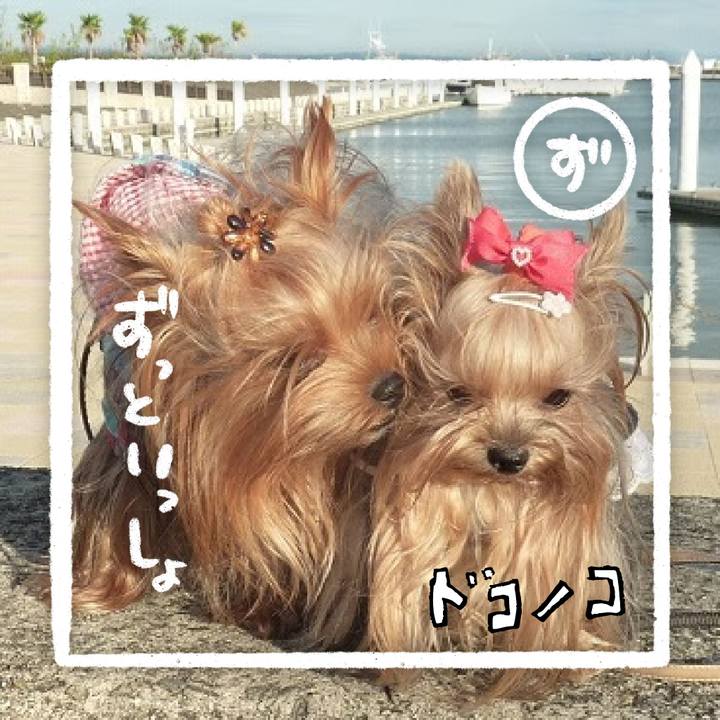 A8f8f08b 394b 4016 9b0b 612281fb313b 1685938700787