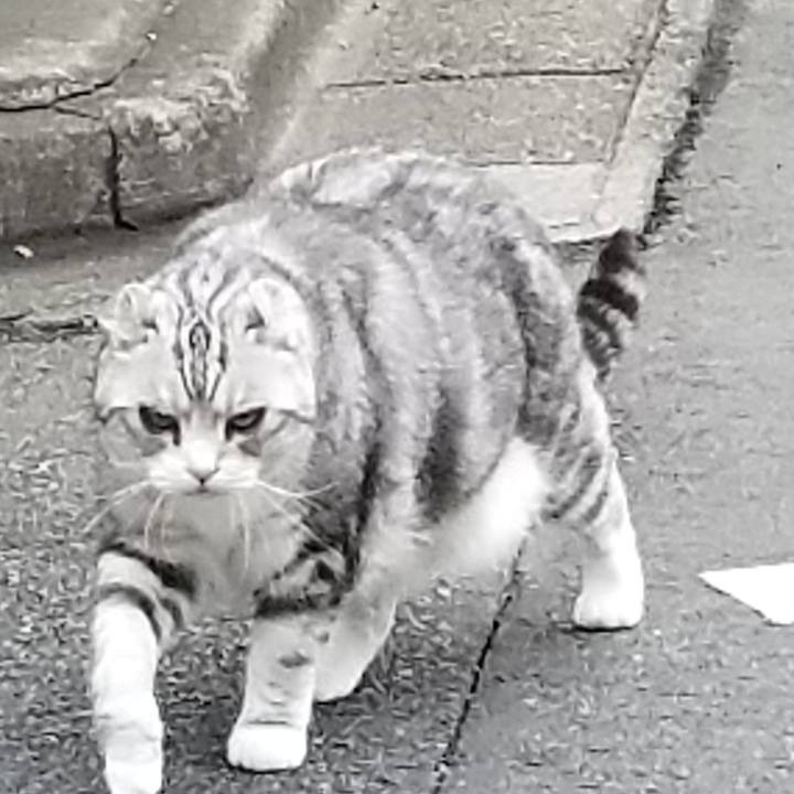 A8f90e99 6fd7 4d35 894e 020fde35c7d6 1552448864347