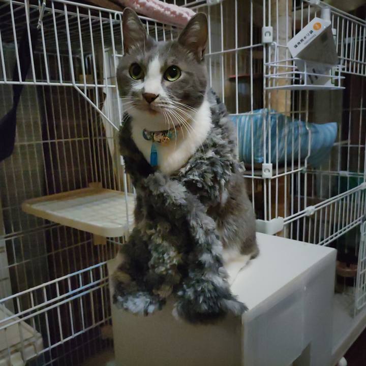 A8f95c36 d8eb 4b34 978a 5f09de4083d6 1666429542015