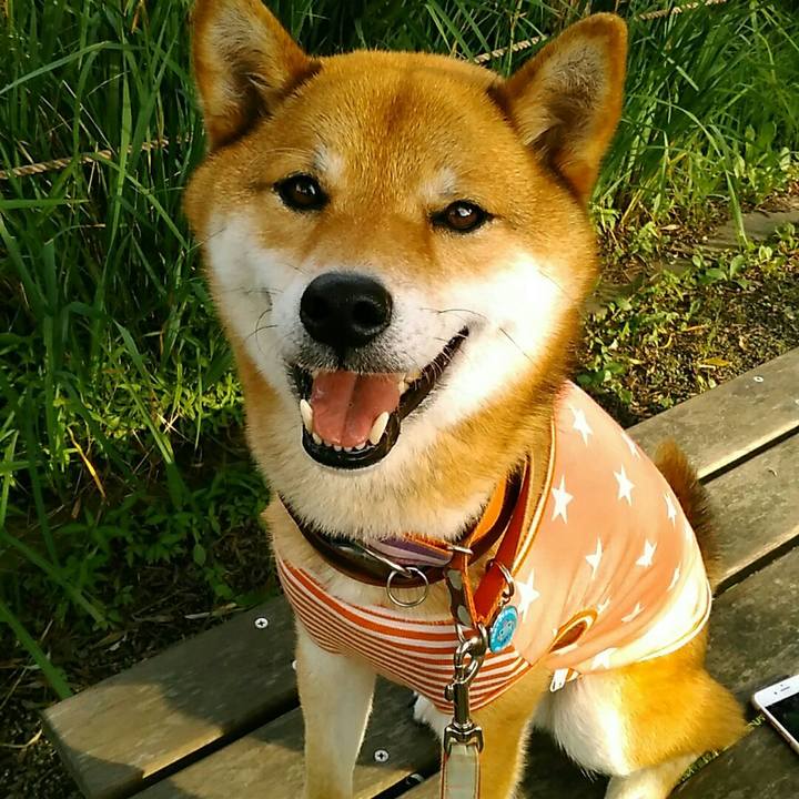 A8f98859 b005 4c40 a73f 1e0d50043bbe 1530004413992