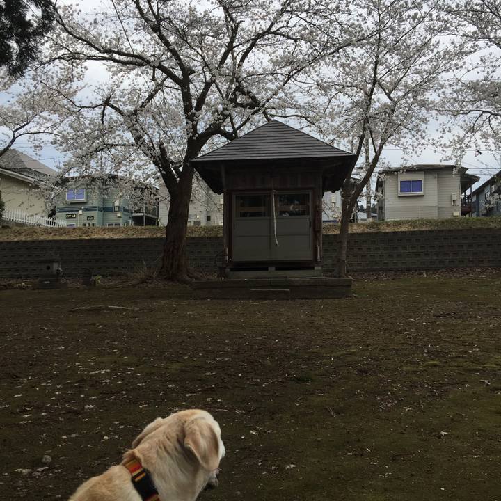 A8f989c4 7ac8 47bd 8cfd 190e3fe079bc 1523409612513