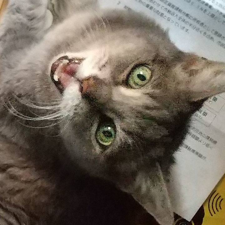 A8f99c4d 406a 49b6 a3f8 25fc8453b37d 1694953220678