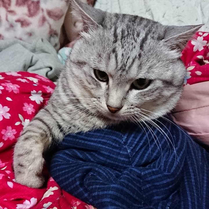 A8f9b118 f8e2 4c6a 9e7d ccd0c8b7cbd0 1550143715056