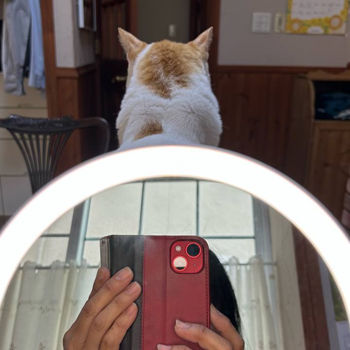 A8f9bbcf a4e3 4bed bc0c ad688b7d00e3 1692951335805