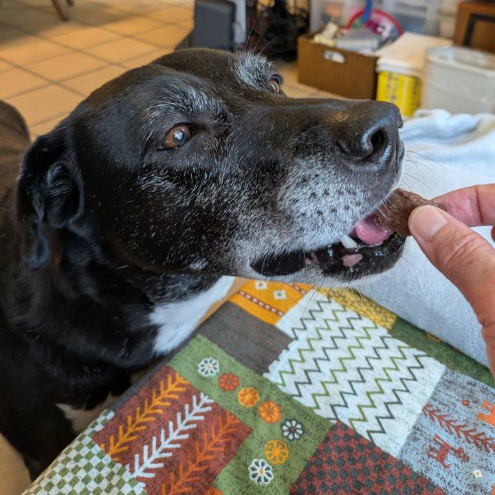 A8f9d0ff e98c 4f84 92c8 ad557ebb92e9 1748429406955