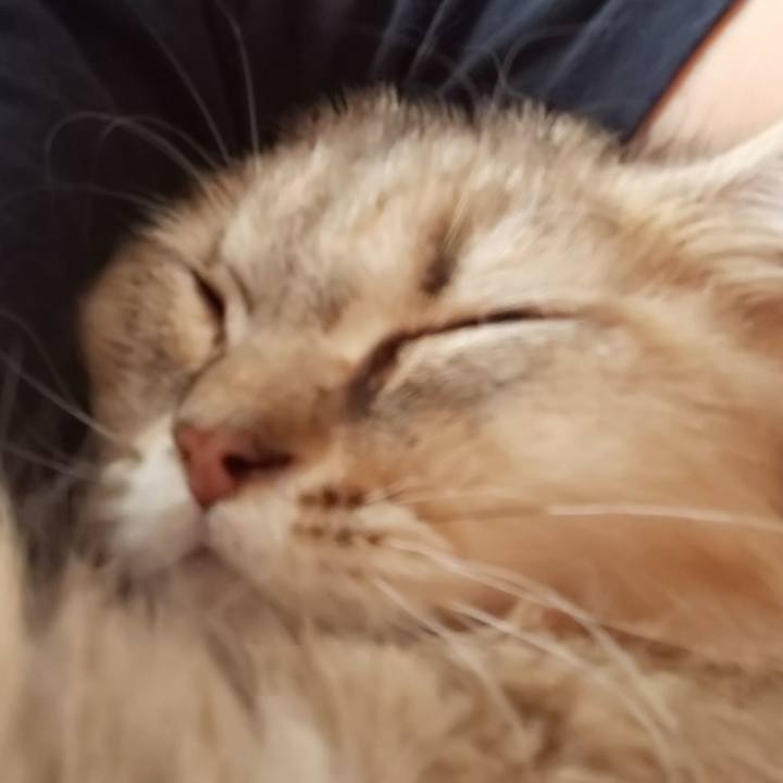 A8f9de2a f1d6 45a5 8347 2da135661b70 1563323422185