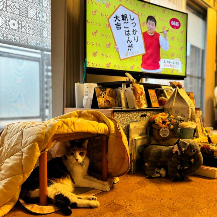 A8f9e9ec 753b 41b9 b504 25c9a477ec99 1708294109114