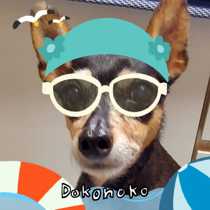 A8fa03f7 0aa5 4867 a3c3 3e3721ede127 1723290628223