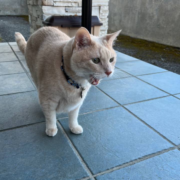 A8fa31d5 8d41 46a9 b7a4 c3b9585a78ae 1762043994332