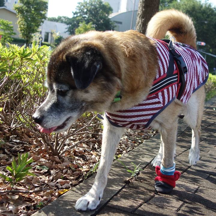 A8fa6cbd c277 4506 8ca9 1dc9724ac7d2 1534119638387