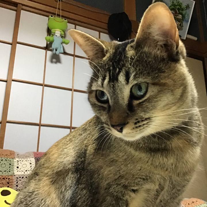 A8fa7b10 151c 4bda 86ef b461efae9d32 1581500971329