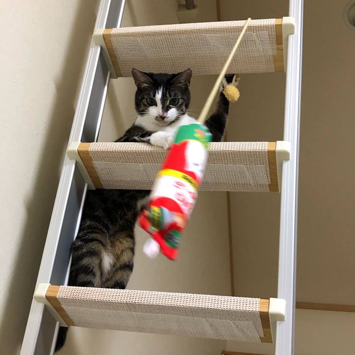 A8fabab6 b439 41b8 9d54 91aeac519097 1551960297570