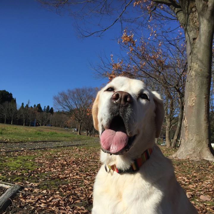 A8fac17a 20f8 43e8 85cd 057b67704b10 1543715834527