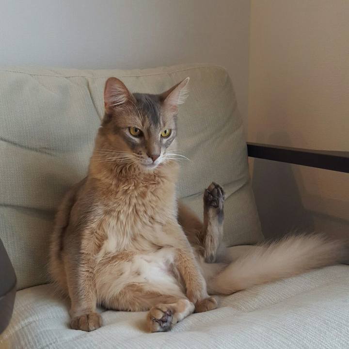 A8fad3b9 8aa1 48ed af0e 01728e3ceeb2 1526959222554